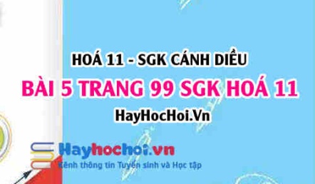 Bài 5 trang 99 SGK Hoá 11 Cánh diều